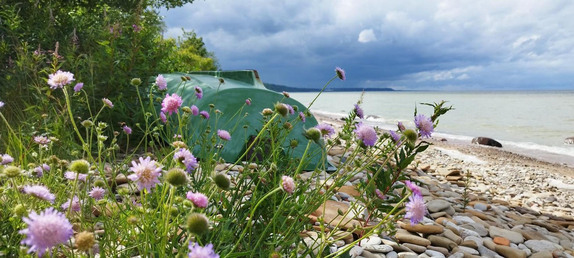 Mereaeaere Glamping Ja Rannamaja Liimala المظهر الخارجي الصورة